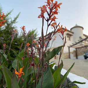 Sunshine Countryside Frigiliana